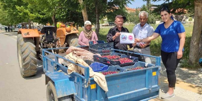 Co Rafi Aret Alan Pazarlar Kiraz Denetlendi