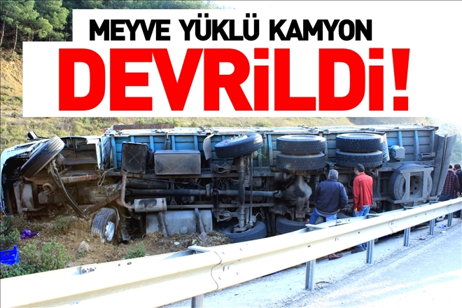 MEYVE YÜKLÜ KAMYON DEVRİLDİ