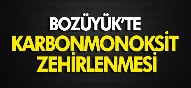 BOZÜYÜK'TE KARBONMONOKSİT ZEHİRLENMESİ