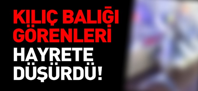 KILIÇ BALIĞI GÖRENLERİ HAYRETE DÜŞÜRDÜ!