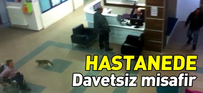 HASTANEDE DAVETSİZ MİSAFİR