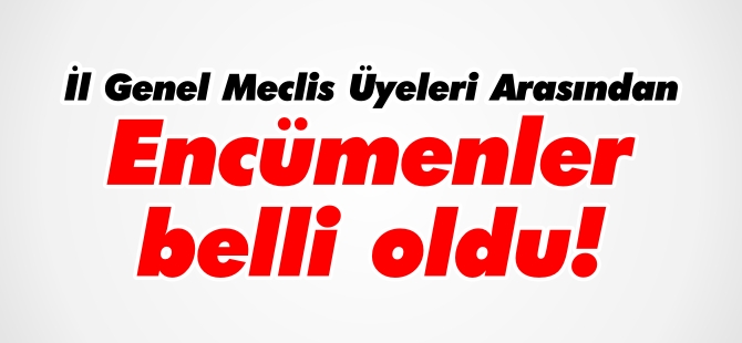 İL GENEL MECLİS ÜYESİ ENCÜMENLER BELLİ OLDU