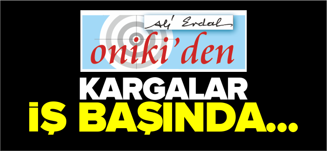 KARGALAR İŞ BAŞINDA...