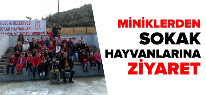 MİNİKLERDEN SOKAK HAYVANLARINA ZİYARET