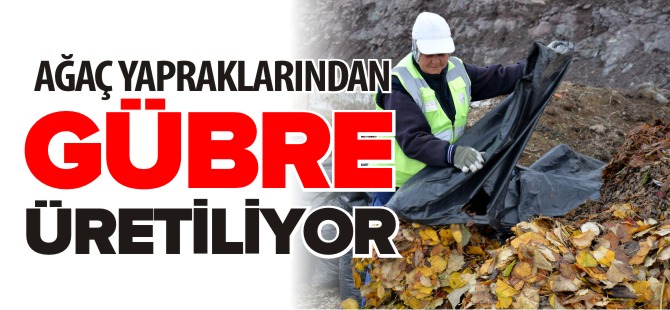 AĞAÇ YAPRAKLARINDAN GÜBRE ÜRETİLİYOR