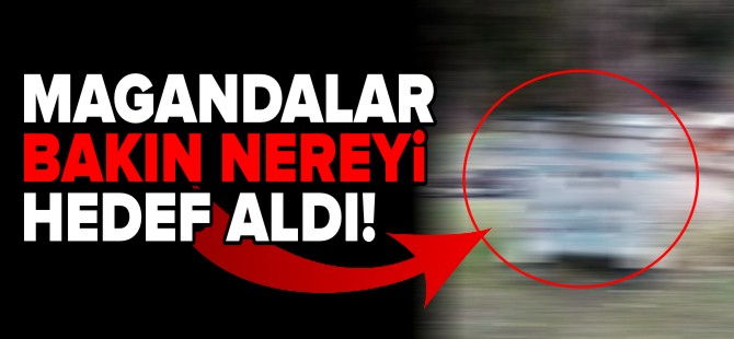 MAGANDALAR BAKIN NEREYİ HEDEF ALDI