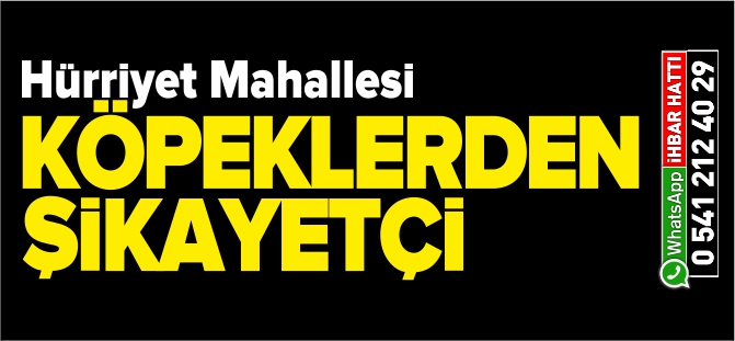 HÜRRİYET MAHALLESİ KÖPEKLERDEN ŞİKAYETÇİ!