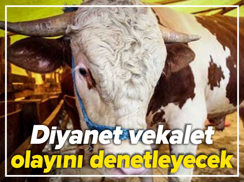 DİYANET VEKALET OLAYINI DENETLEYECEK