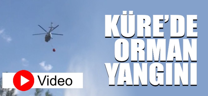 KÜRE'DE ORMAN YANGINI