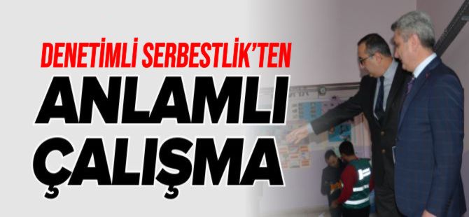 DENETİMLİ SERBESTLİK'TEN ANLAMLI ÇALIŞMA