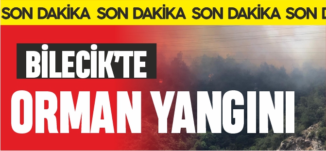 BİLECİK'TE ORMAN YANGINI !