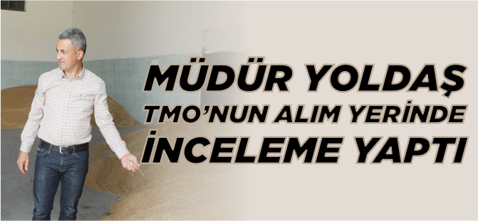 MÜDÜR YOLDAŞ, TMO'NUN ALIM YERİNDE İNCELEME YAPTI