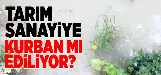 TARIM SANAYİYE KURBAN MI EDİLİYOR?