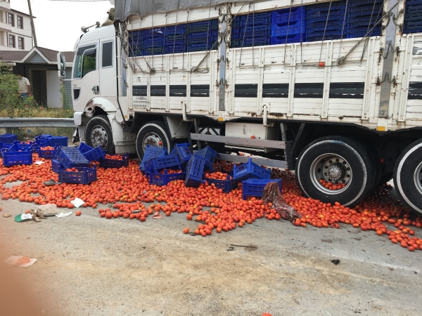 DOMATES YÜKLÜ TRAKTÖRE KAMYON ÇARPTI