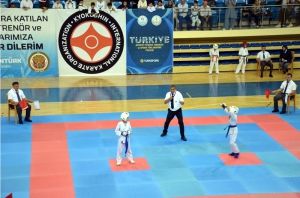 KARATE ŞAMPİYONASI BİLECİK'TE YAPILDI