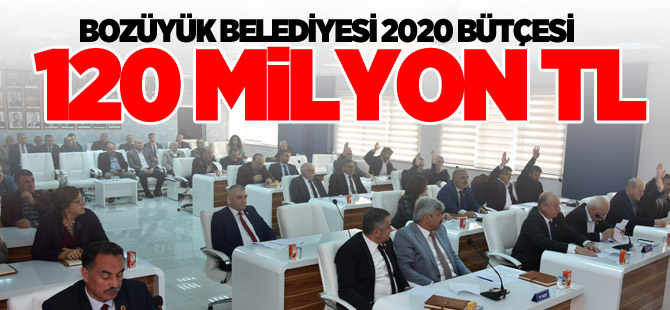 BOZÜYÜK BELEDİYESİ 2020 BÜTÇESİ 120 MİLYON TL