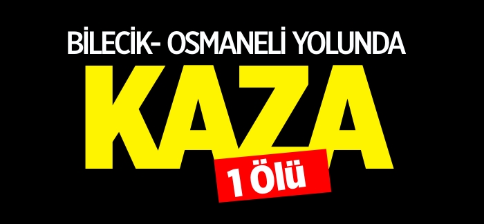 BİLECİK - OSMANELİ YOLUNDA KAZA