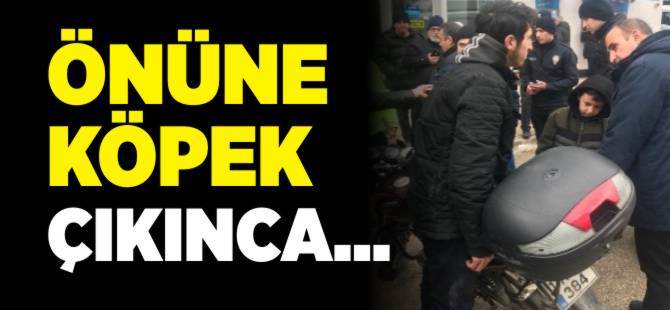 ÖNÜNE KÖPEK ÇIKINCA...