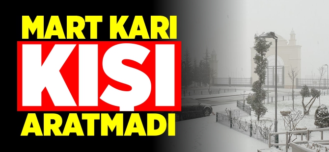 MART KARI KIŞI ARATMADI