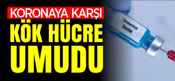 KORONAYA KARŞI KÖK HÜCRE UMUDU