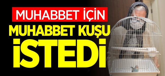 MUHABBET İÇİN " MUHABBET KUŞU" İSTEDİ