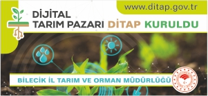 DİTAP - REKLAM