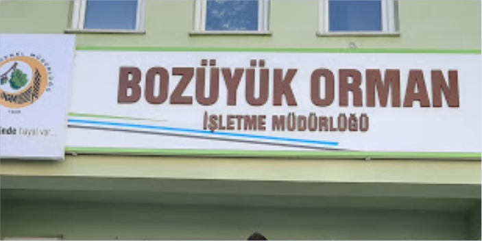 Orman emvali istifleme hizmeti alınacak