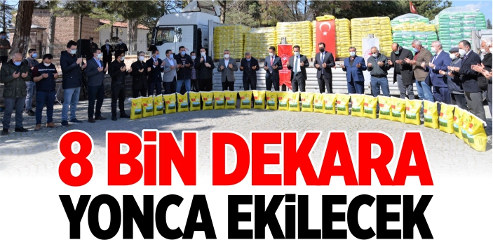 8 bin dekara yonca ekilecek