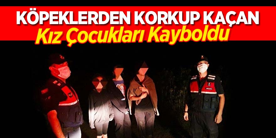 Köpeklerden korkup kaçan kız çocukları kayboldu