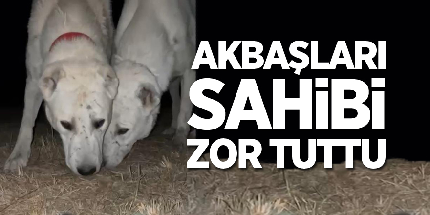 Akbaşları sahibi zor tuttu