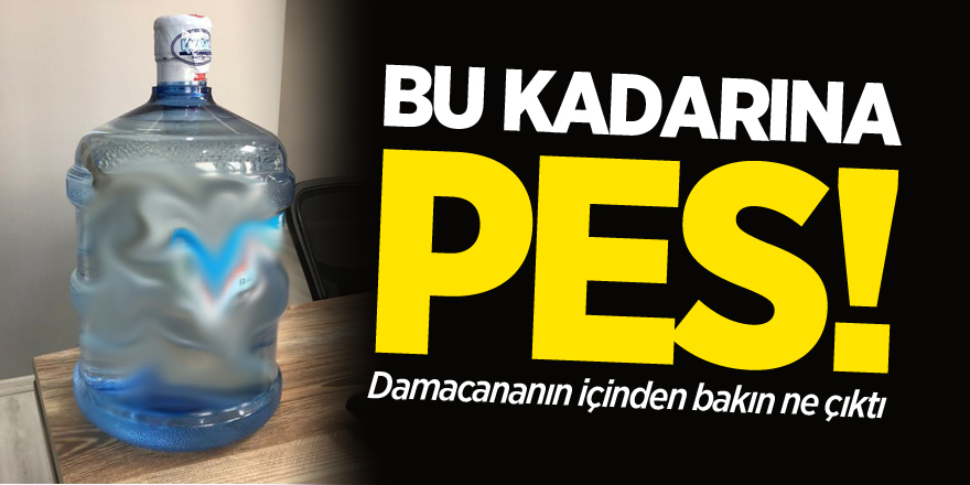 Bu kadarına pes!