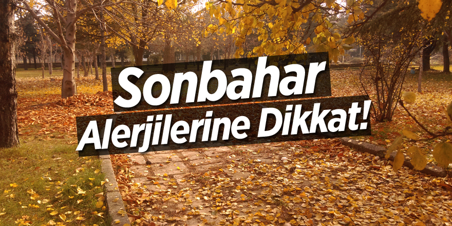 Sonbahar alerjilerine dikkat