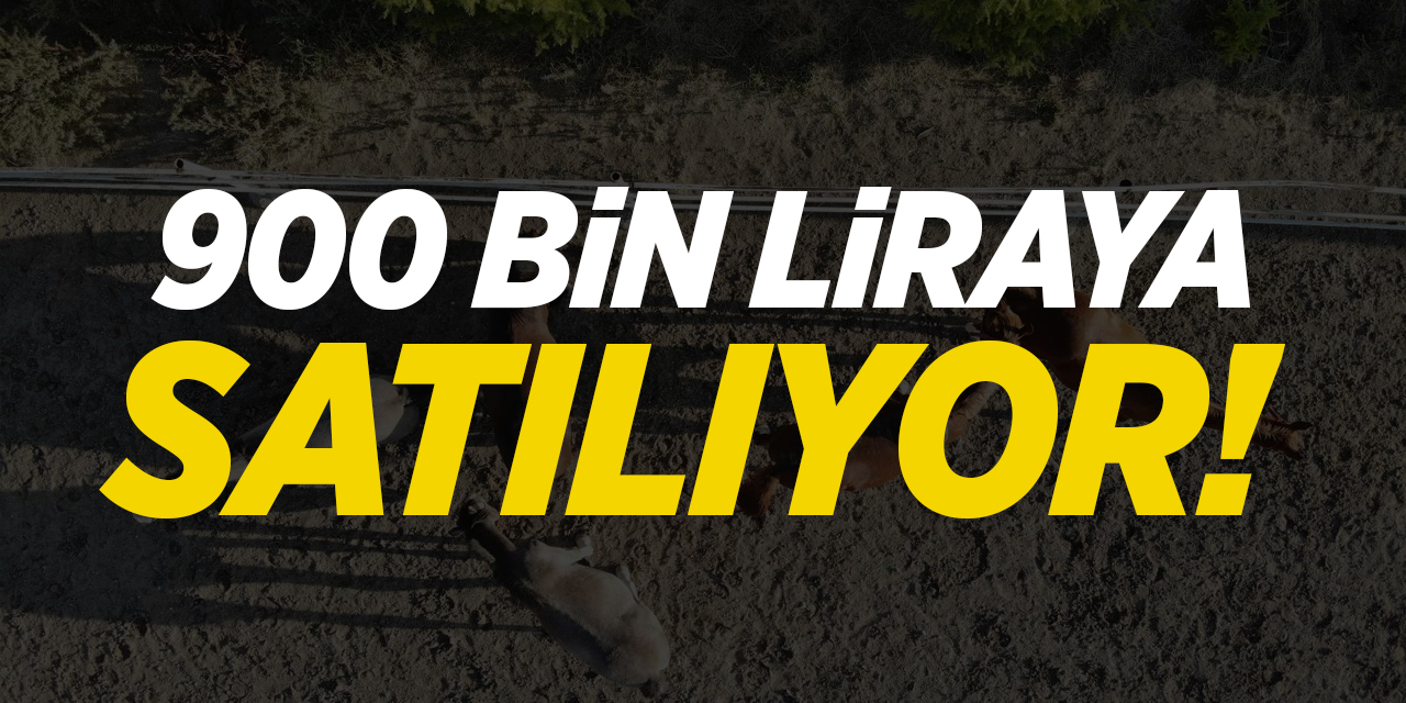 900 bin liraya satılıyor