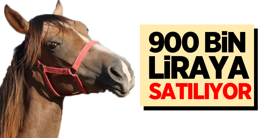 900 bin liraya satılıyor