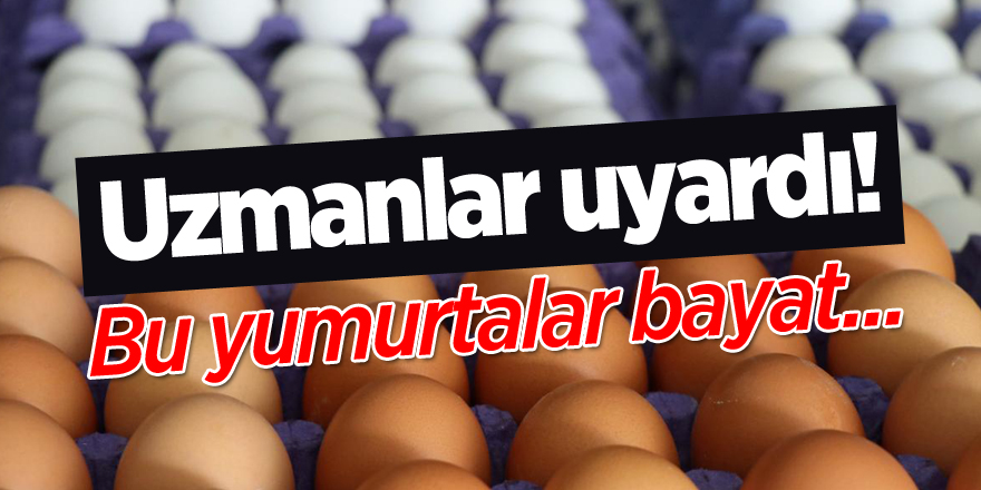 UZMANLAR UYARDI