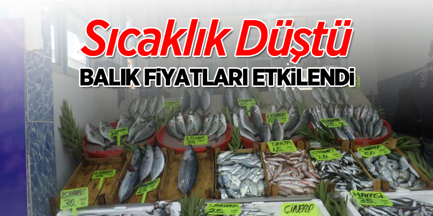 Sıcaklık düşünce balık fiyatları etkilendi