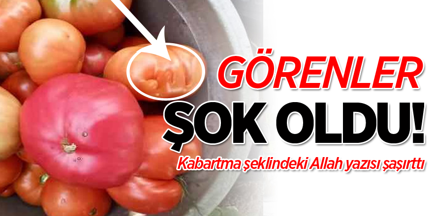 Görenler Şok Oldu!