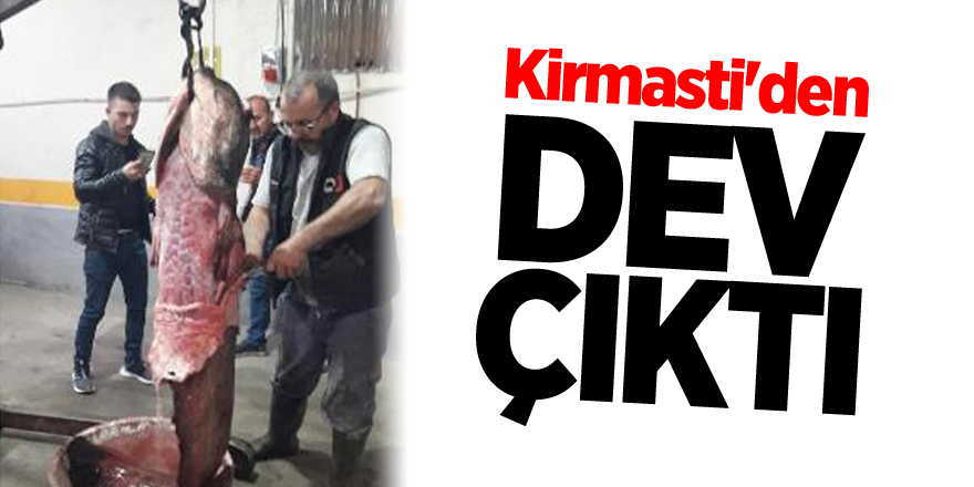 Kirmasti'den ‘dev' çıktı