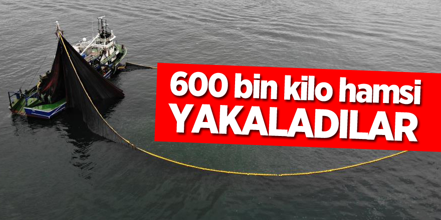 600 bin kilo hamsiyi saatler içinde yakaladılar