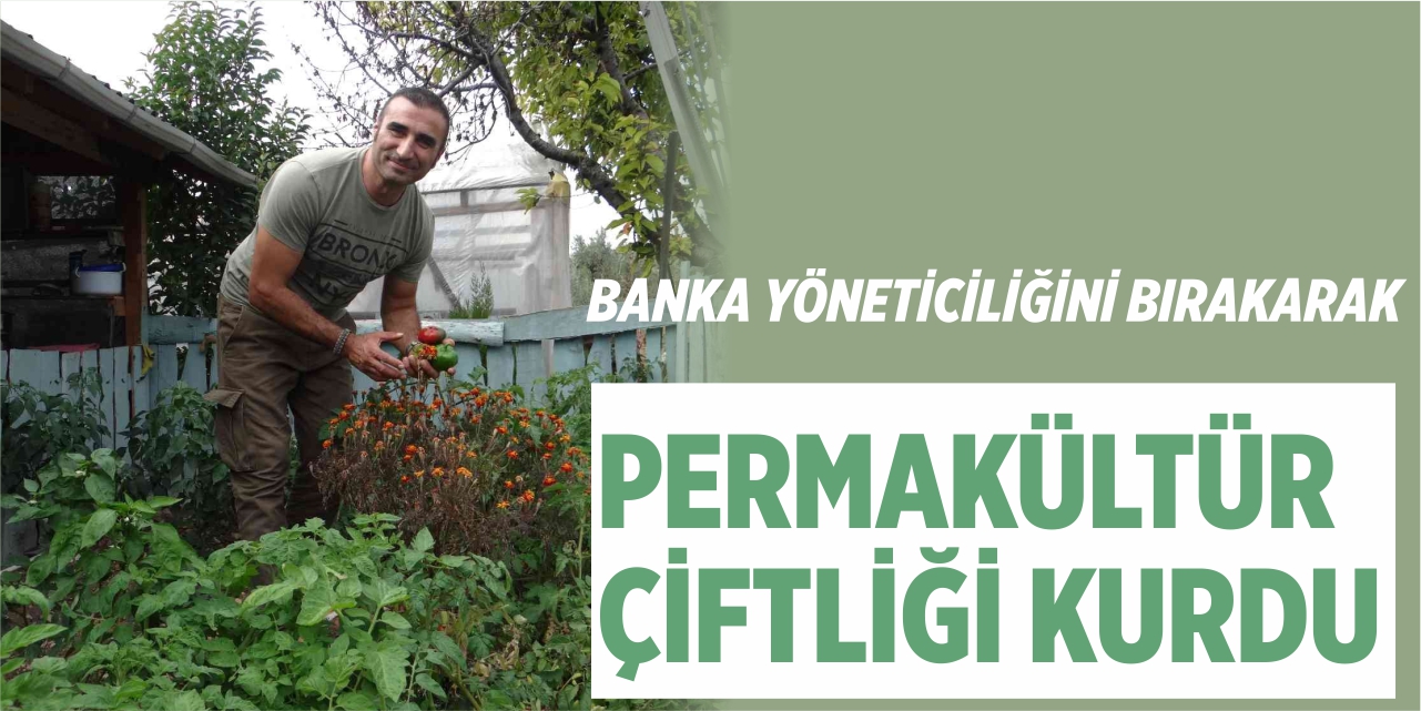 Banka yöneticiliğini bırakarak permakültür çiftliği kurdu