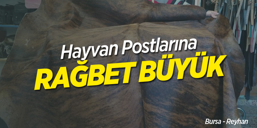 Hayvan Postların Rağbet Büyük