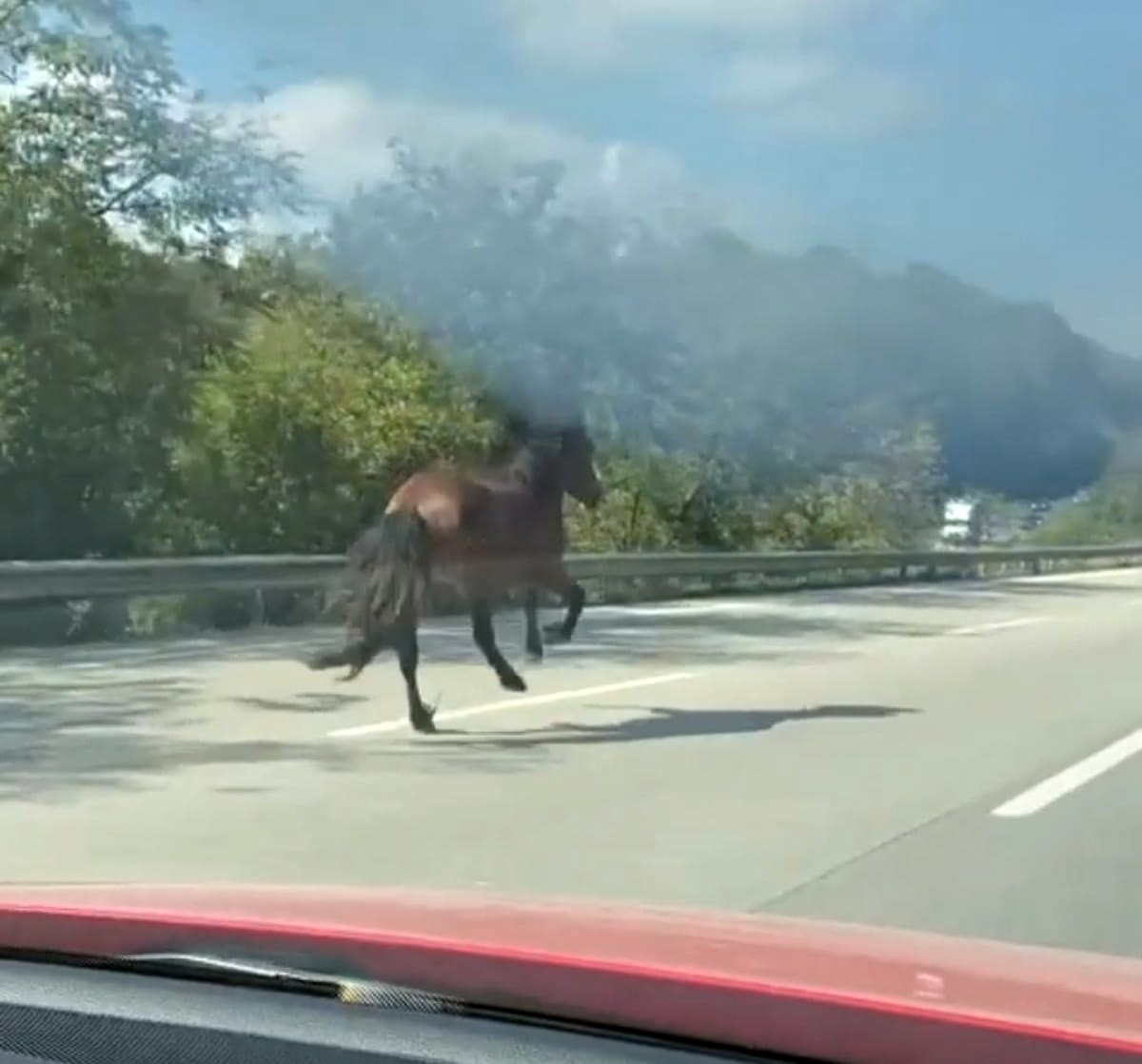 Karayolunda dört nala kaçış, trafiği alt üst etti