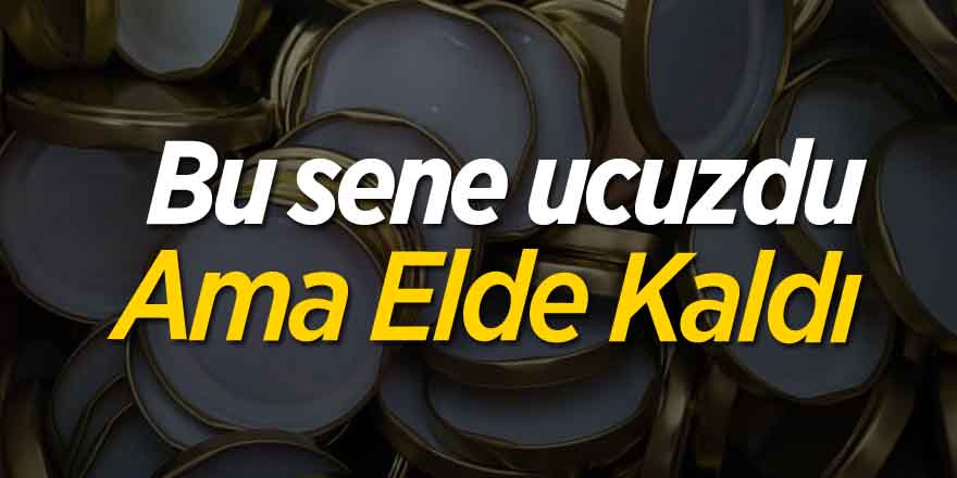 Bu sene ucuzdu ama elde kaldı