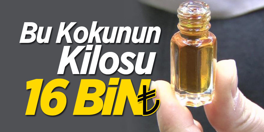 Bu kokunun kilosu 16 bin lira