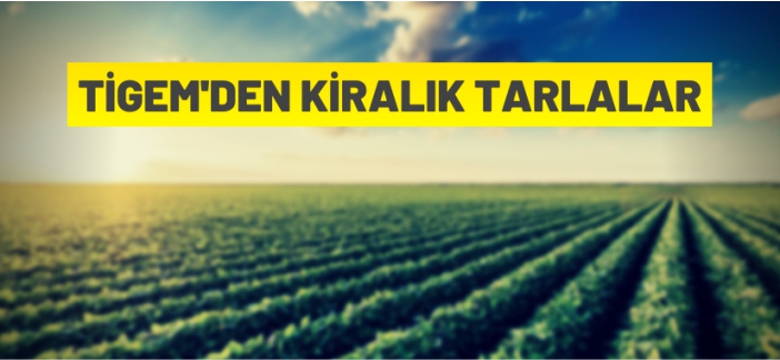 TİGEM tarla kiralayacak