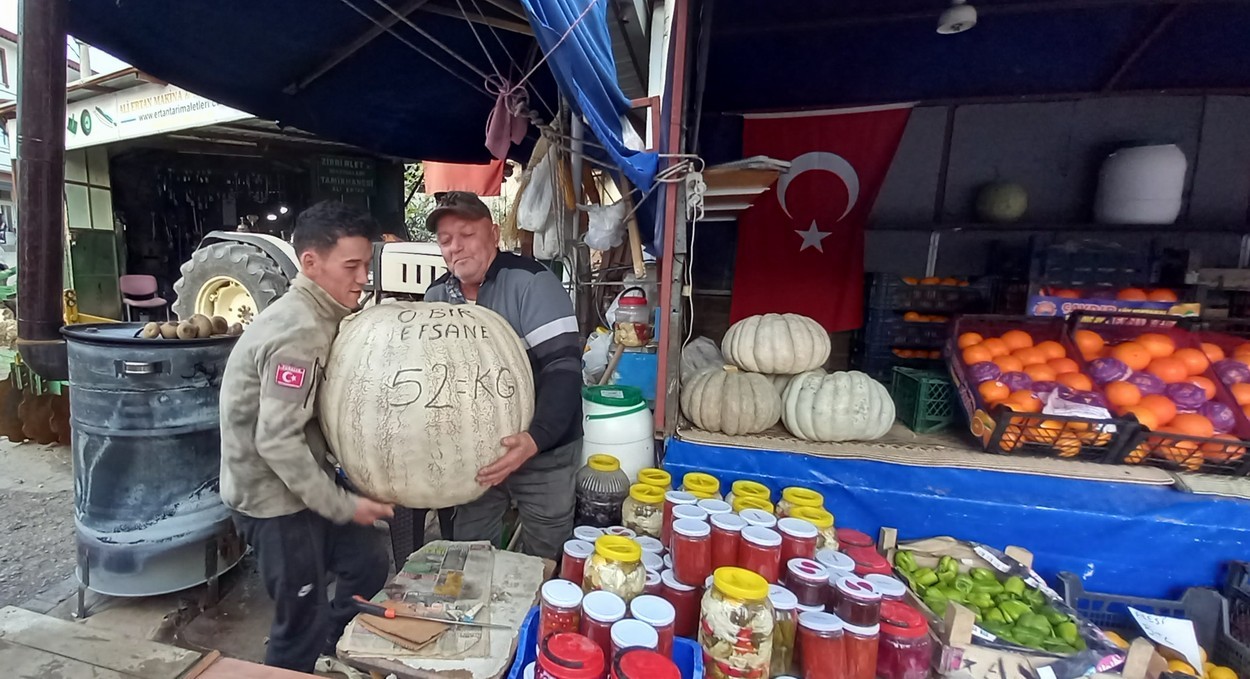 52 kiloluk dev kabak görenleri şaşırtıyor