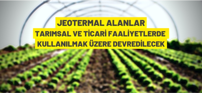 Jeotermal alanlar devredilecek