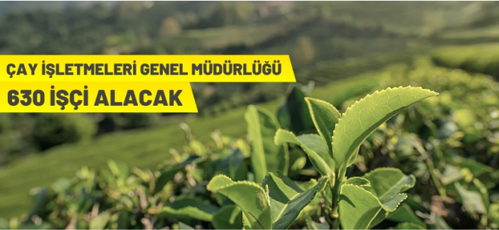 ÇAYKUR işçi alacak