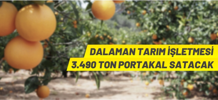 TİGEM portakal satacak