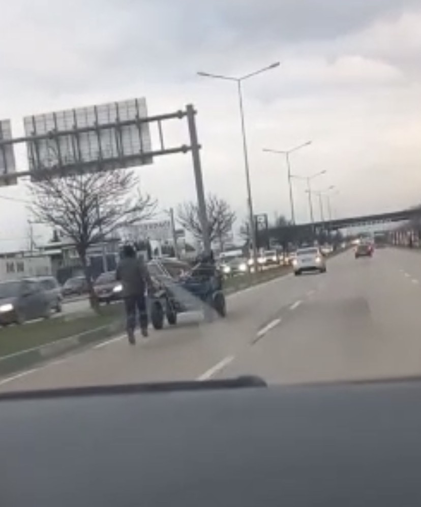 Sürücüsüz at arabası trafiği birbirine kattı